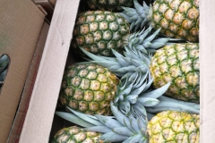 26a05f0f-f0f9-4f20-8854-184c69917a9a