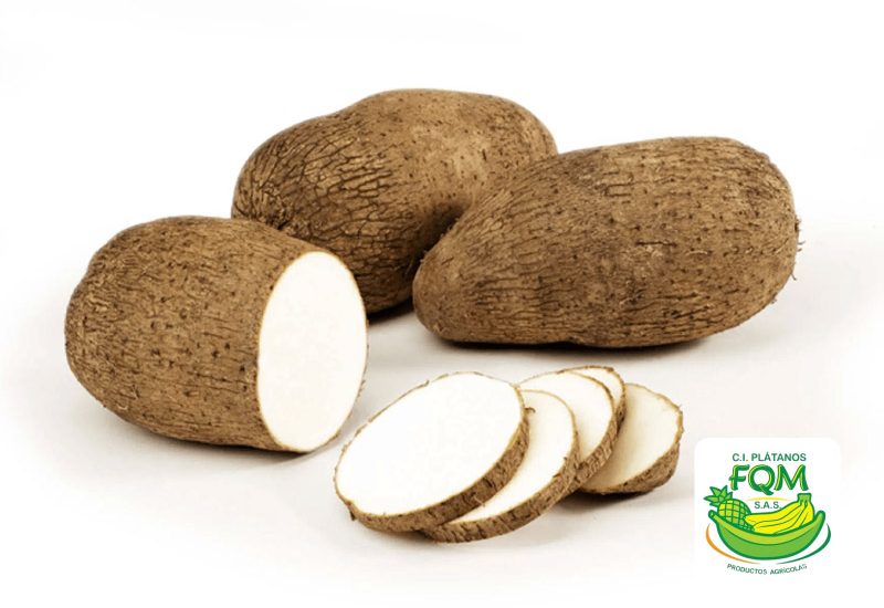 1destacada 1destacada